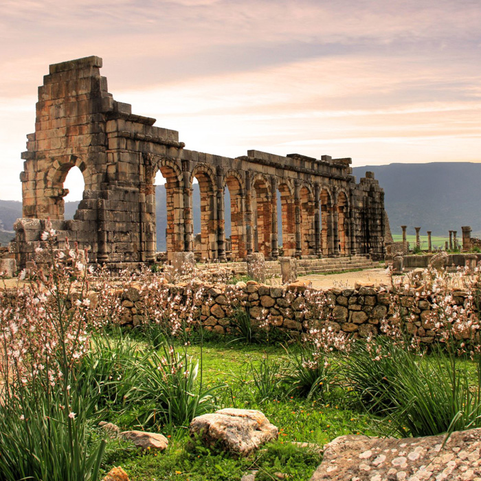Volubilis Moulay Idriss & Meknes Day trip From Fes