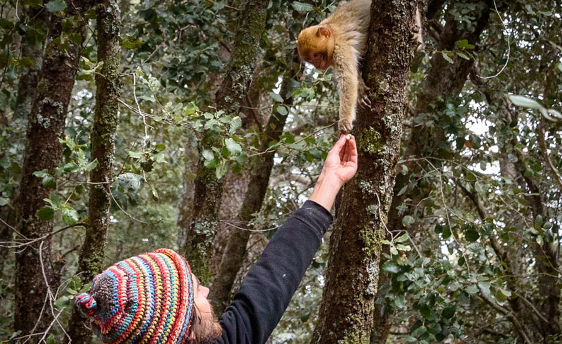 Middle Atlas Day trip From Fes