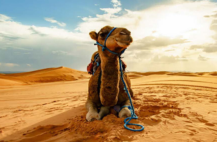 Tangier desert tours 5 days